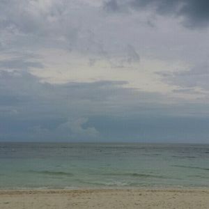 Meet your Posher, Natasha