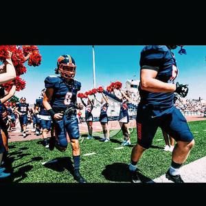 Meet your Posher, Carter