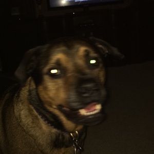 Meet your Posher, Devon