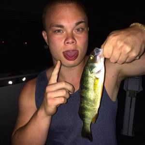 Meet your Posher, Brian