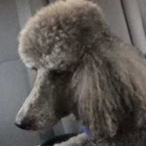 Meet your Posher, Linda