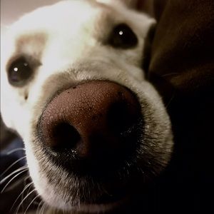 Meet your Posher, Danny