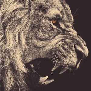 Meet your Posher, Thomas