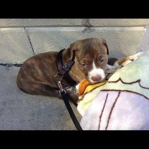 Meet your Posher, Maria