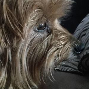 Meet your Posher, Alina