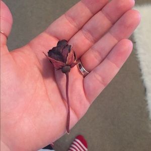 Meet your Posher, Carolyn