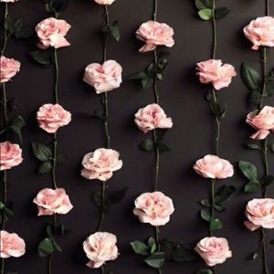 Meet your Posher, Rylee