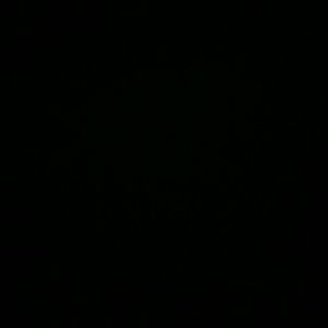 Meet your Posher, Alan