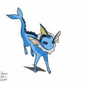 Meet your Posher, Joey