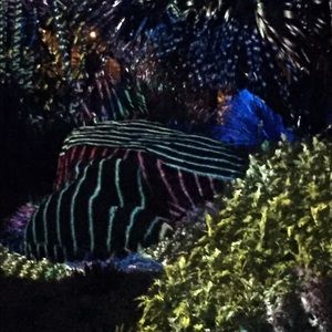 Meet your Posher, Richard