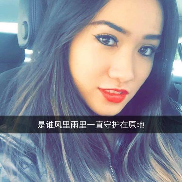 Meet your Posher, Lily - Picture 1 of 1