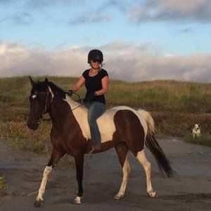 Meet your Posher, Robin