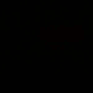 Meet your Posher, Susana