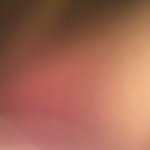 Meet your Posher, Sadie