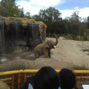 Meet your Posher, Urbano