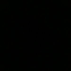 Meet your Posher, Julian