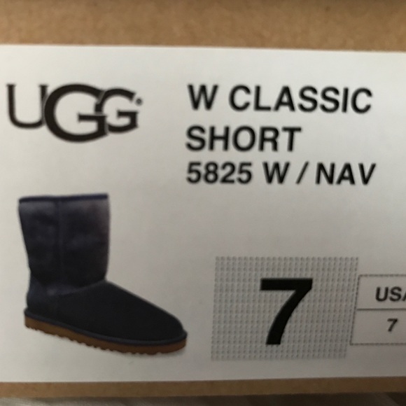 Classic Short Navy Uggs - Picture 4 of 4
