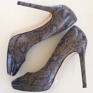 Steve Madden snakeskin heels with capped toe