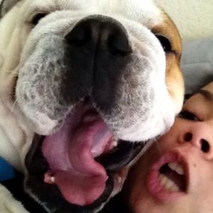 Meet your Posher, Drossos