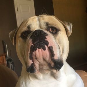 Meet your Posher, Cyndee