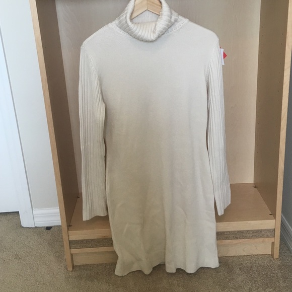 Ribbed Turtleneck Dress