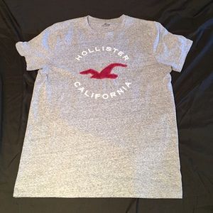 Men's Hollister SS Shirt Large