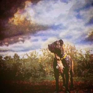 Meet your Posher, Lance