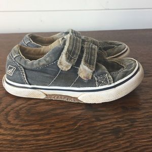 Boys blue Sperry 8.5 W wide shoes