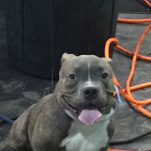 Meet your Posher, Andy