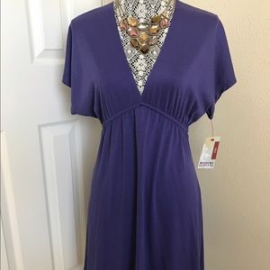 Blue/purple mossimo dress
