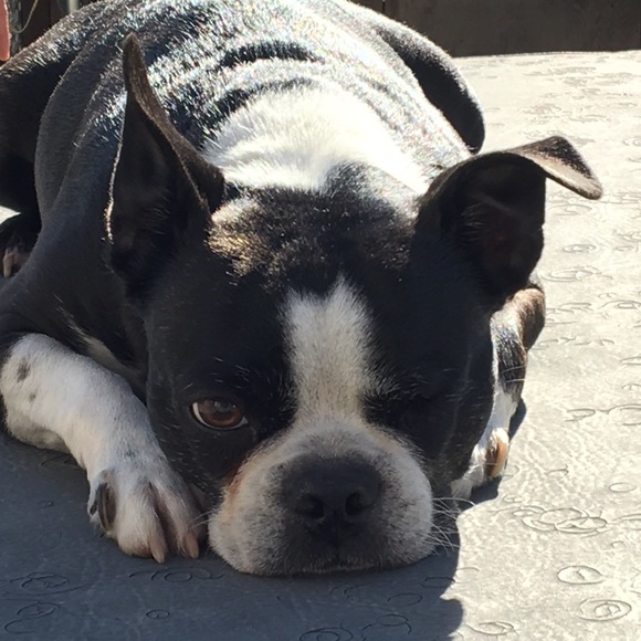 Meet your Posher, Matt - Picture 1 of 1