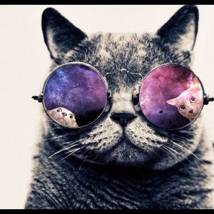 Meet your Posher, Dylan