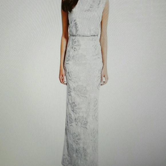 Adrianna Papell Silver Evening Dress