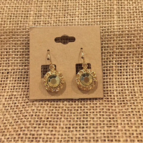 Brand New - Beautiful Earrings