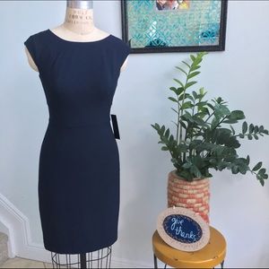 The Limited Navy Dress