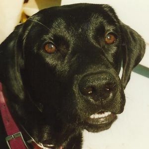 Meet your Posher, Jade