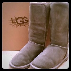 Tall Grey Ugg Boots