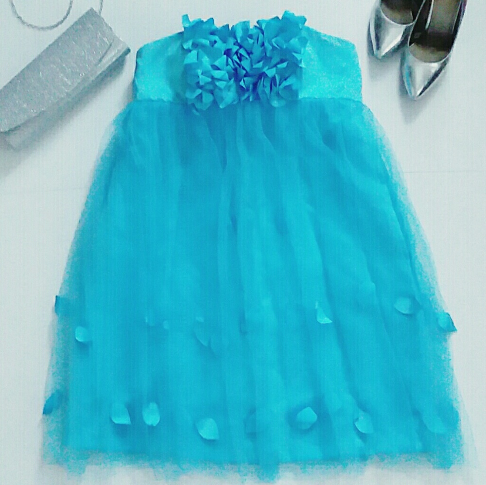 Blue tulle Dress