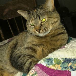 Meet your Posher, Leanne