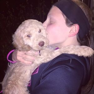 Meet your Posher, Molly