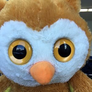 Meet your Posher, Nathan