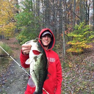 Meet your Posher, Jack