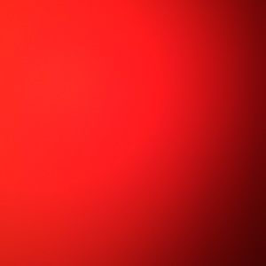 Meet your Posher, Brayden