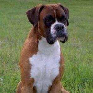 Meet your Posher, Bryce