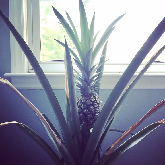 🌸 FOLLOW GAME 🌸 - Picture 4 of 4