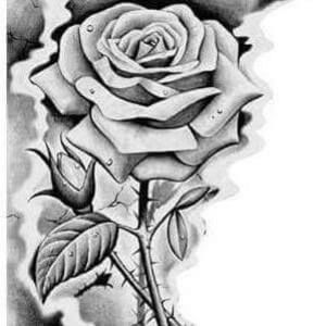 Meet your Posher, Chele