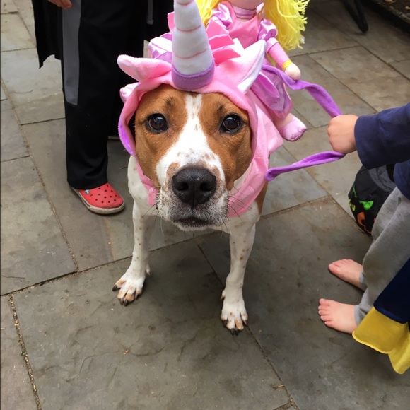 Meet your Posher, Lindsay - Picture 1 of 1