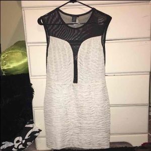 ✨ Black and White Sheer Bodycon Dress ✨