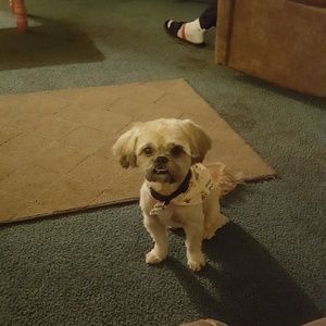 Meet your Posher, Tammy