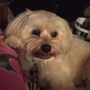 Meet your Posher, Judy